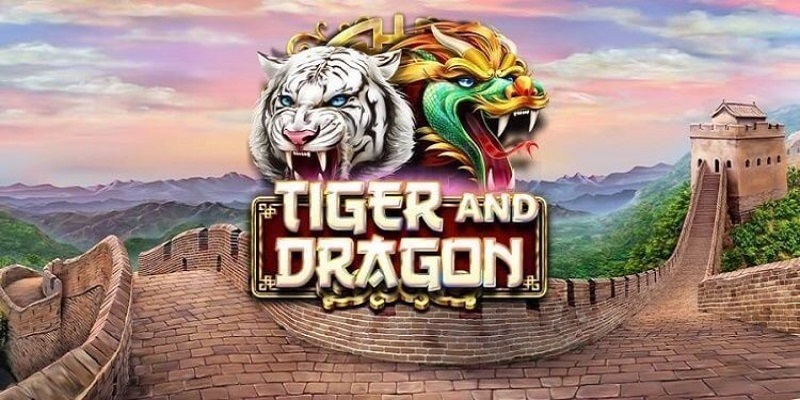 1 số loại kèo quen thuộc trong game Rồng Hổ